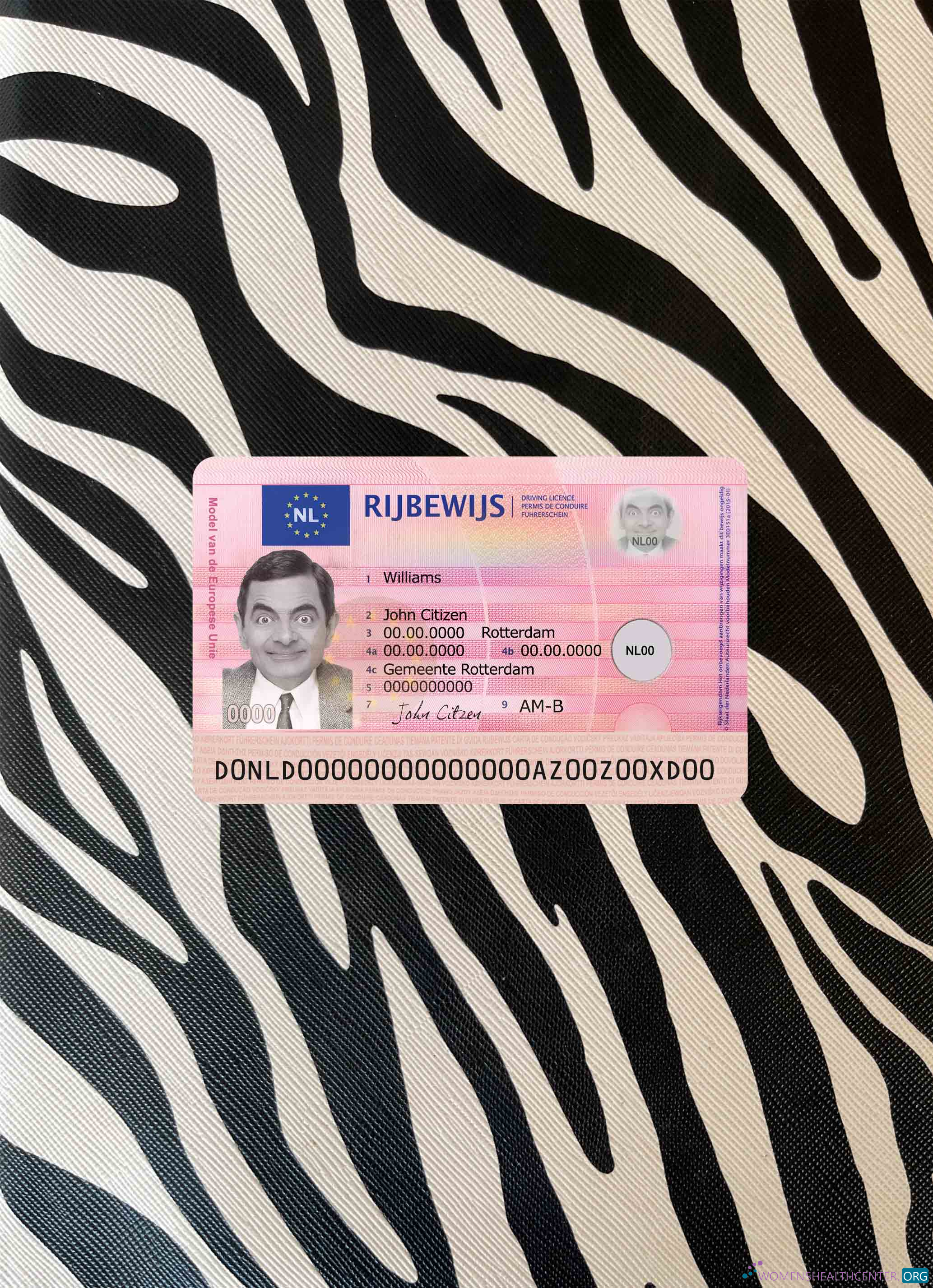 Download Netherland new driving license photolook FRONT Photoshop template
